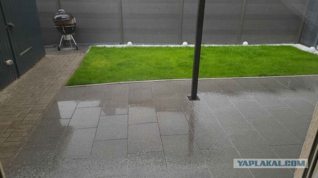 Штраф за 20 см: белорусы показывают высоту травы возле своих домов