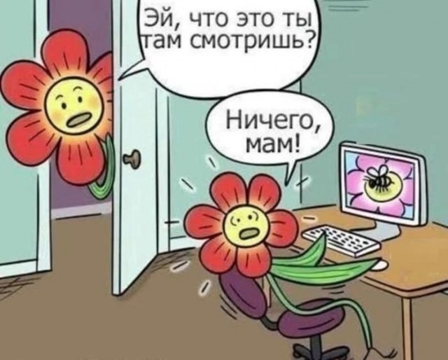 Прикольные и просто красивые картинки 18.07.2025