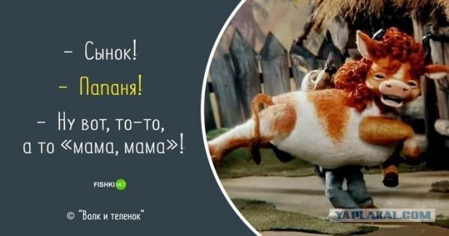Мужик спас брошенных птенцов попугаев и вот что из этого вышло