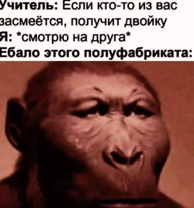 Картинки для деградации 42 (разной степени свежести)