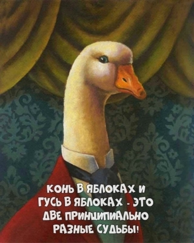 Четверговые картинки