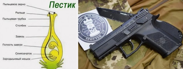 Когда у соседа снесло крышу, но у тебя есть ЧеЗет 9мм и ты знаешь, что с ним делать