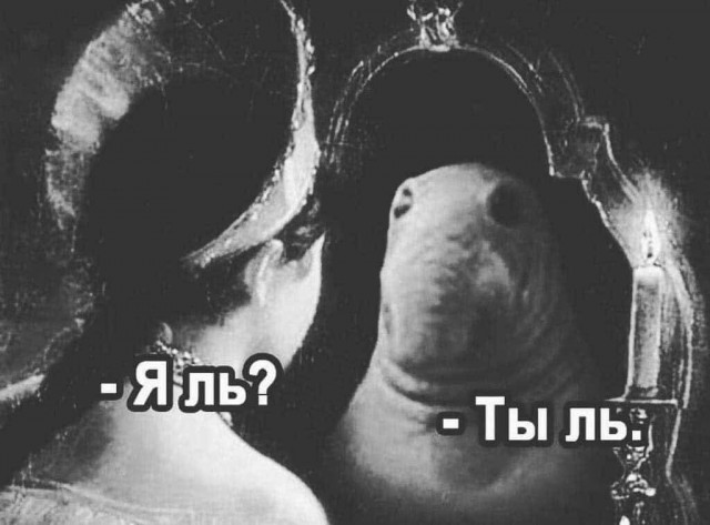 Так себе картинки 21.10.25
