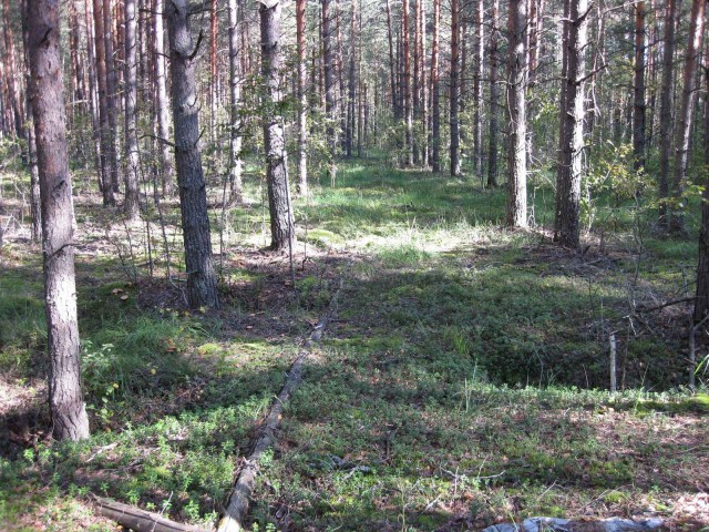 Капище