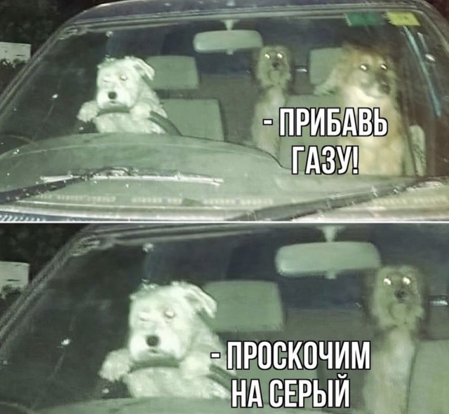 Тяжёлое ДТП на МКАД: автомобиль разорвало пополам во время попытки скрыться от ДПС