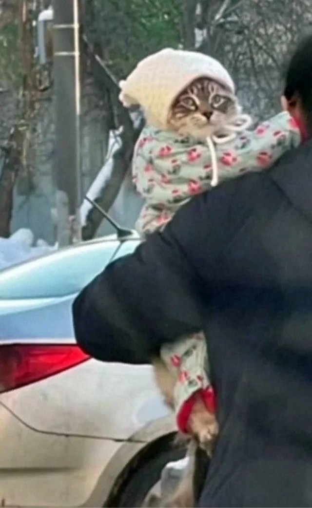 Прикольные и просто красивые картинки 26.12.2025