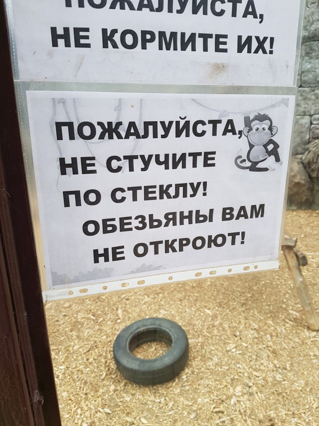 Кошкофторниг