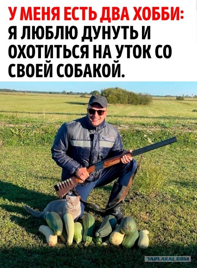 Еноты!