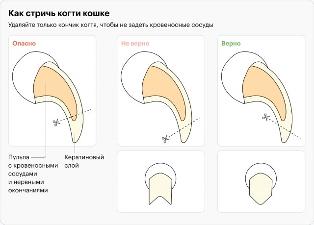 Нужна помощь кошкаводов ЯПа.