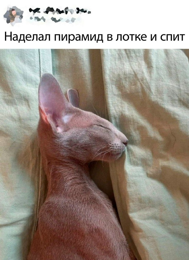 Так себе картинки 18.02.26