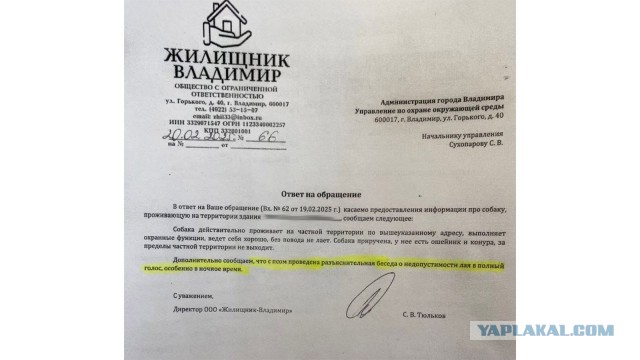 Картинки для деградации 146 (разной степени свежести)