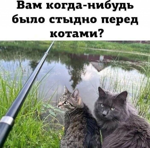 Теперь да