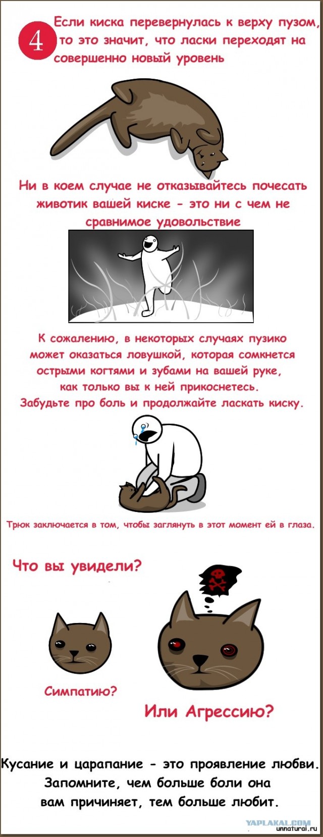 Как приласкать киску?