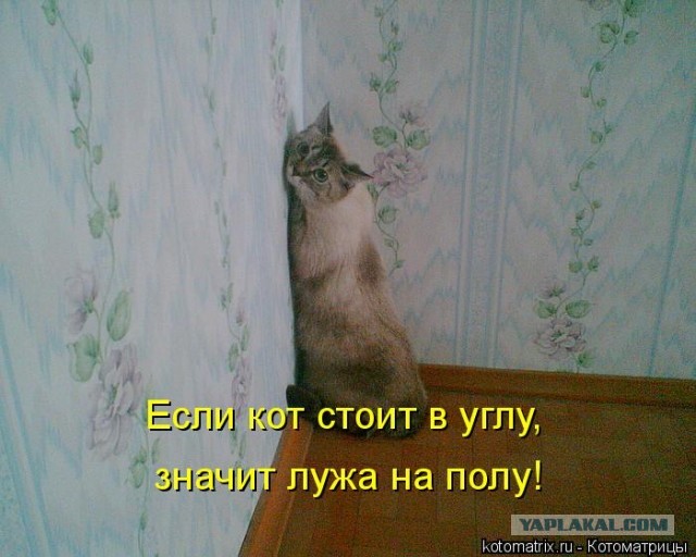 В угол!