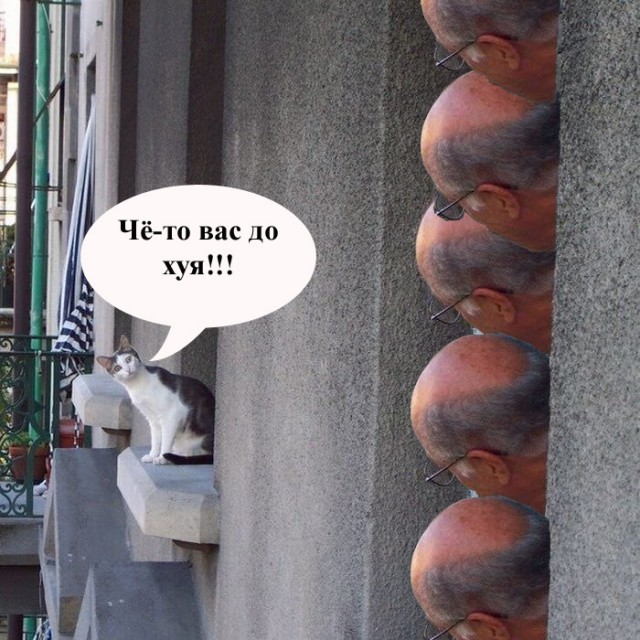 Что там такое?