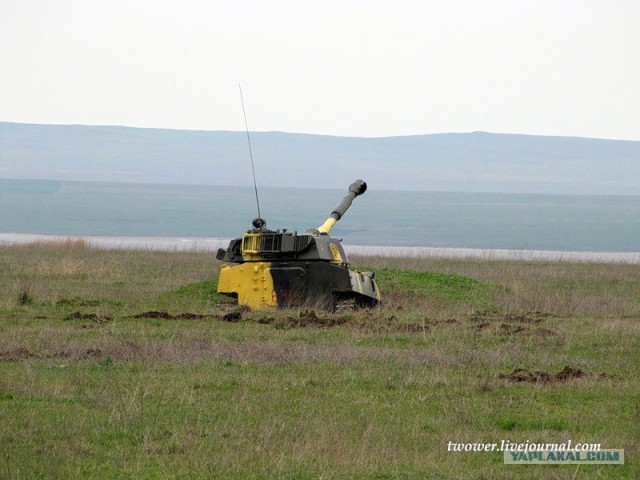 810-я отдельная бригада морской пехоты