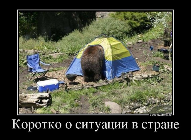 Плашки диванной войны