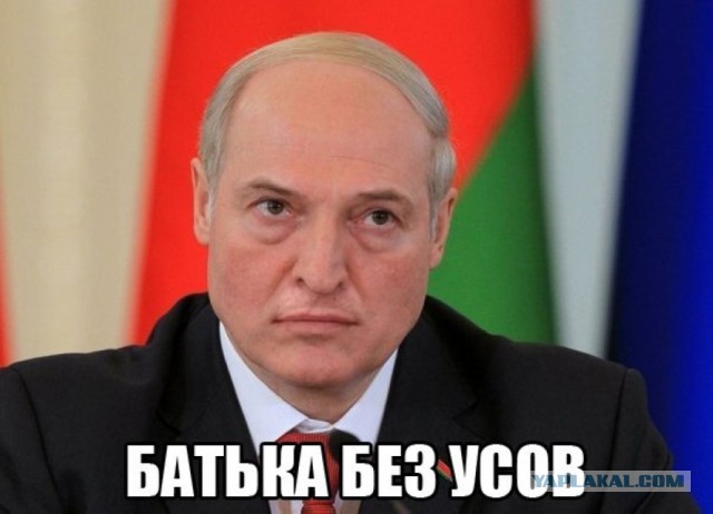 Носи усы, носи - не ссы!