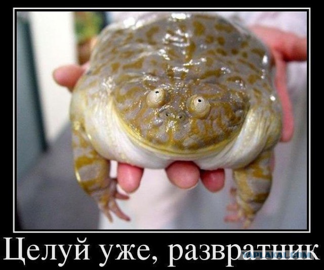 Поднимаем настроение