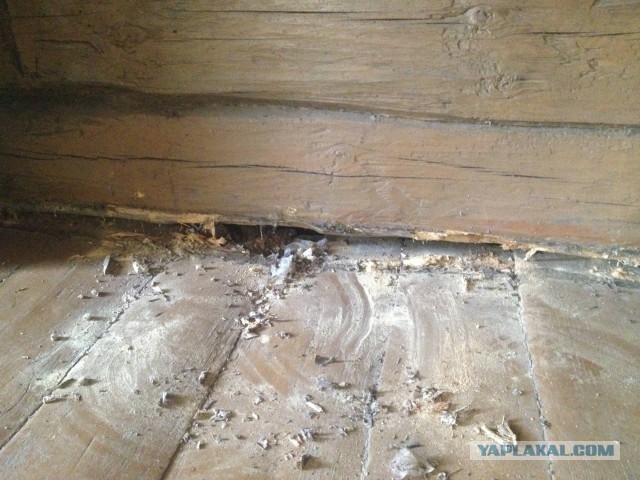 Как менялся старый пол.