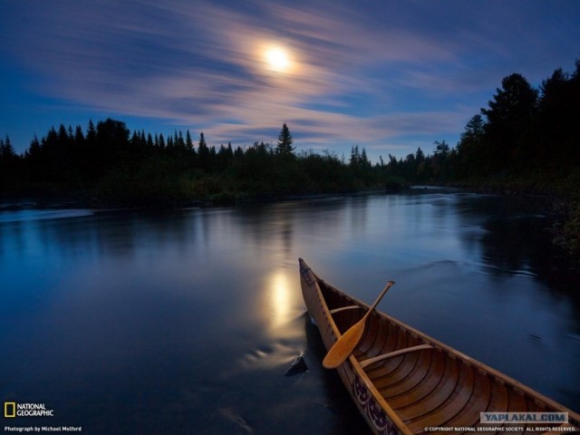 Лучшие фото ноября от National Geographic