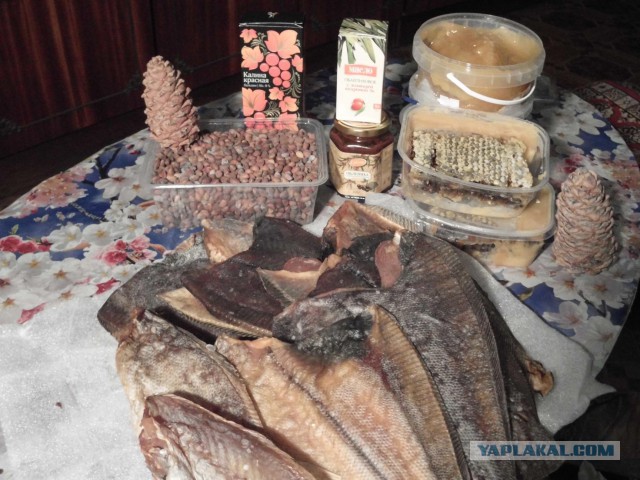 Клуп калхозных пейссателей