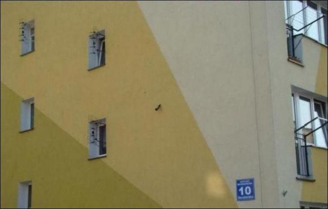 Большой брат не у дел