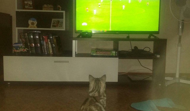 Champions League Сезон 2015/2016