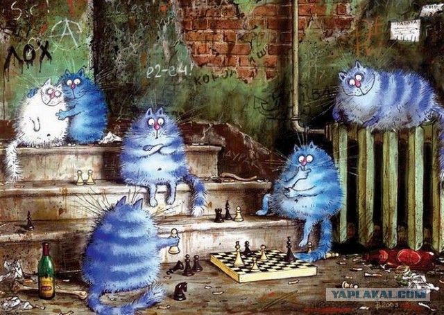 Забавные рисованные кошки