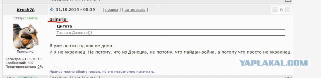 Какой он, Питер?