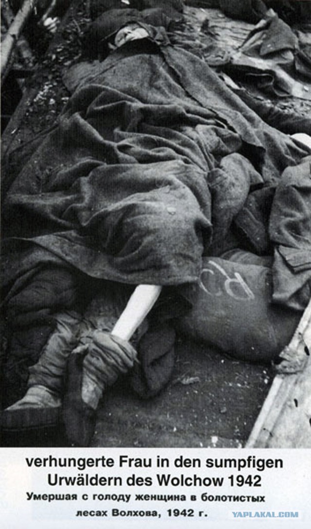 Фото с мест Волховской битвы (Вермахт)