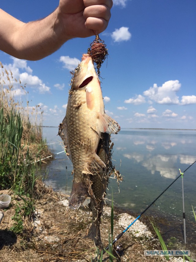 Апрельская рыбалка