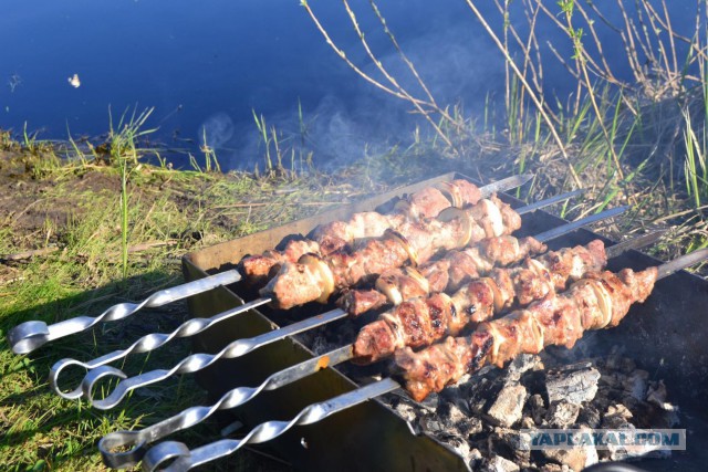 Следственный эксперимент с шашлыком