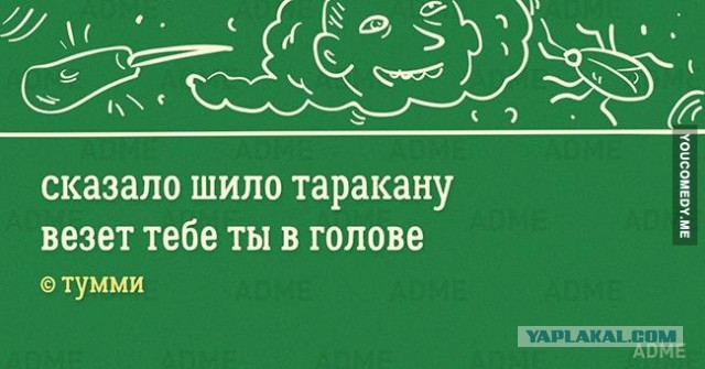 Юкка: уход и размножение