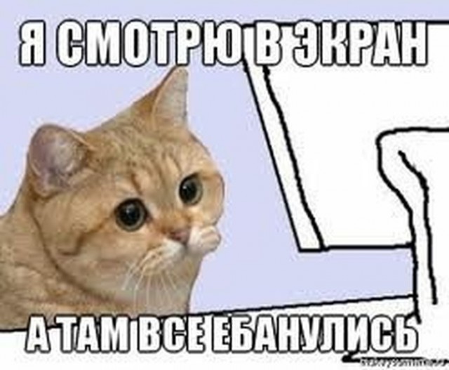 Клинический психолог-сексолог Вероника Степанова