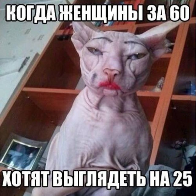 Юмор не для всех