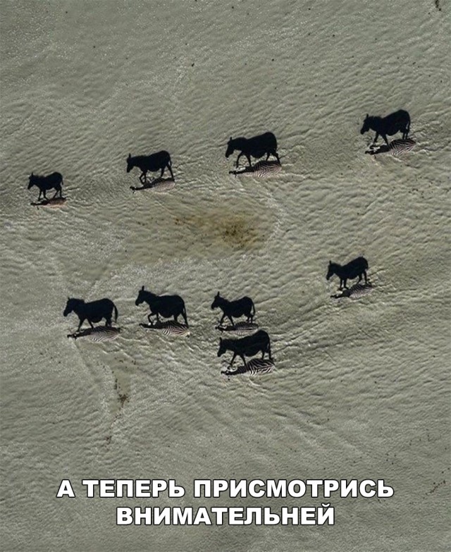 Немного картинок на этот вторник
