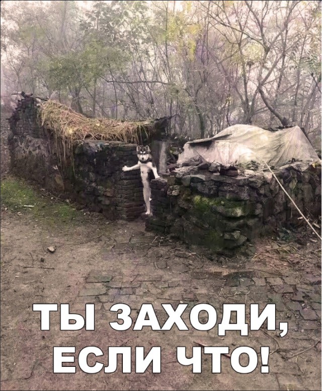 Нестандартный юмор