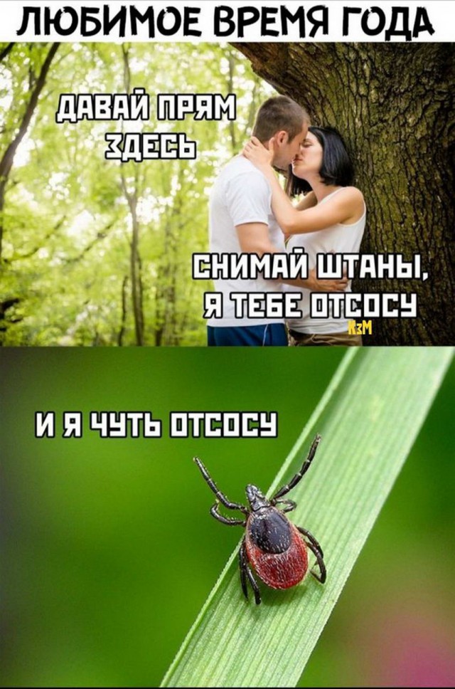 Картинки разные нужны, картинки всякие важны