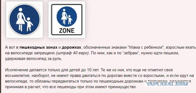 ЯЖеотец на пешеходном переходе
