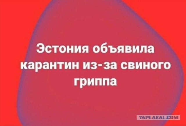Похоже, в Эстонии срочно нужно сделать тест правительству на наличие наркоты...