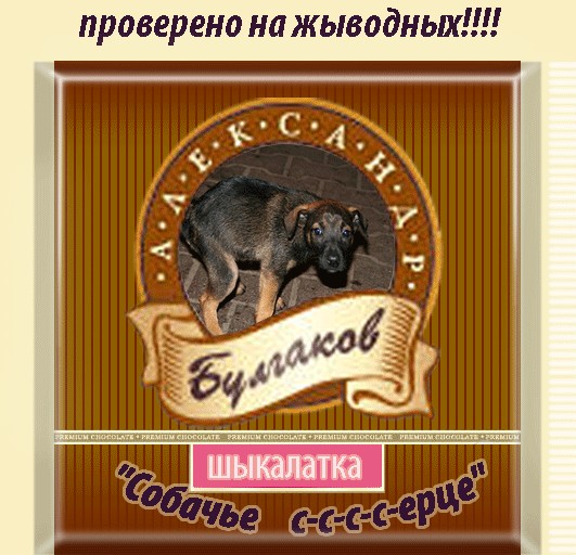 Фотожаба: шоколада "Булгаков Александр"