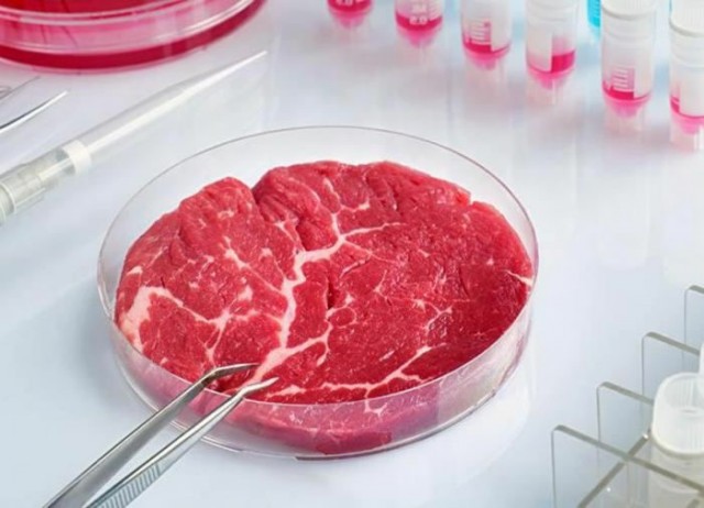 Власти Сингапура одобрили продажу выращенного в лаборатории мяса