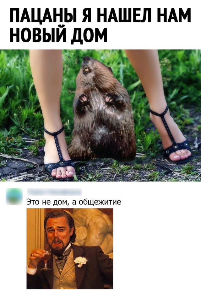 Пятница. И немного слегка пошлых картинок с надписями и без 16+ (29.01)