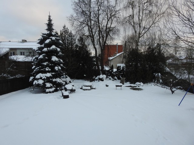 #ДРКулинарии2021! Каре Ягненка в стиле ‘прибой и земля’ (surf ’n’ turf)