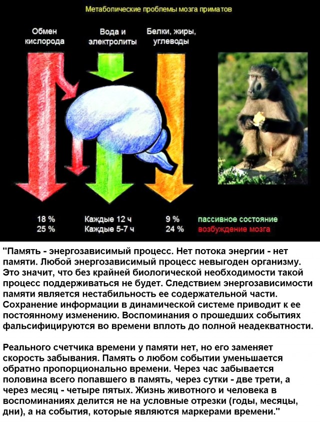Существа...