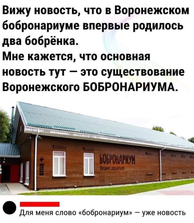 Всяческие картинки 19.10.2021