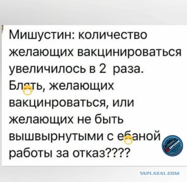 Весёлый полтишок 26.11