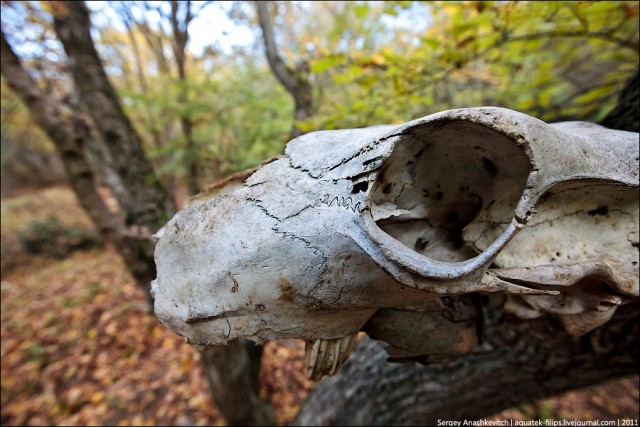 Следы Холодной войны в крымских горах: Объект 100