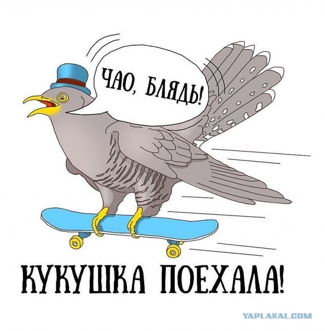 Простите, а что тут происходит?